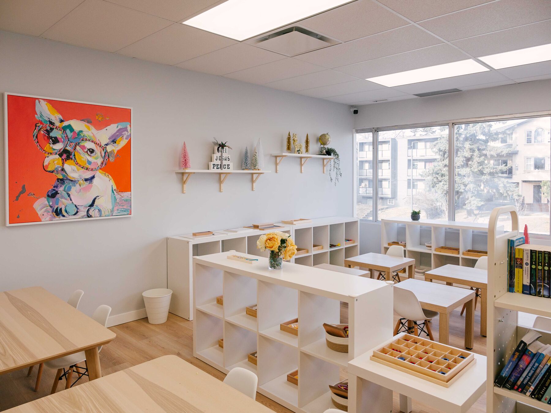 A bright classroom with low white shelving and a full wall of windows looking onto trees and neighbouring buildings.