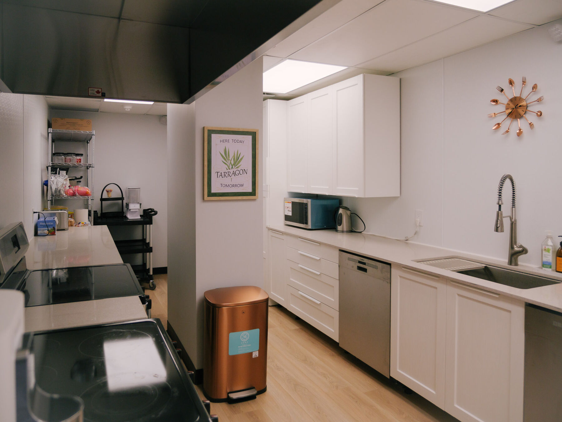 A kitchen prep area with white cabinetry, a dishwasher, deep sink and counter space.